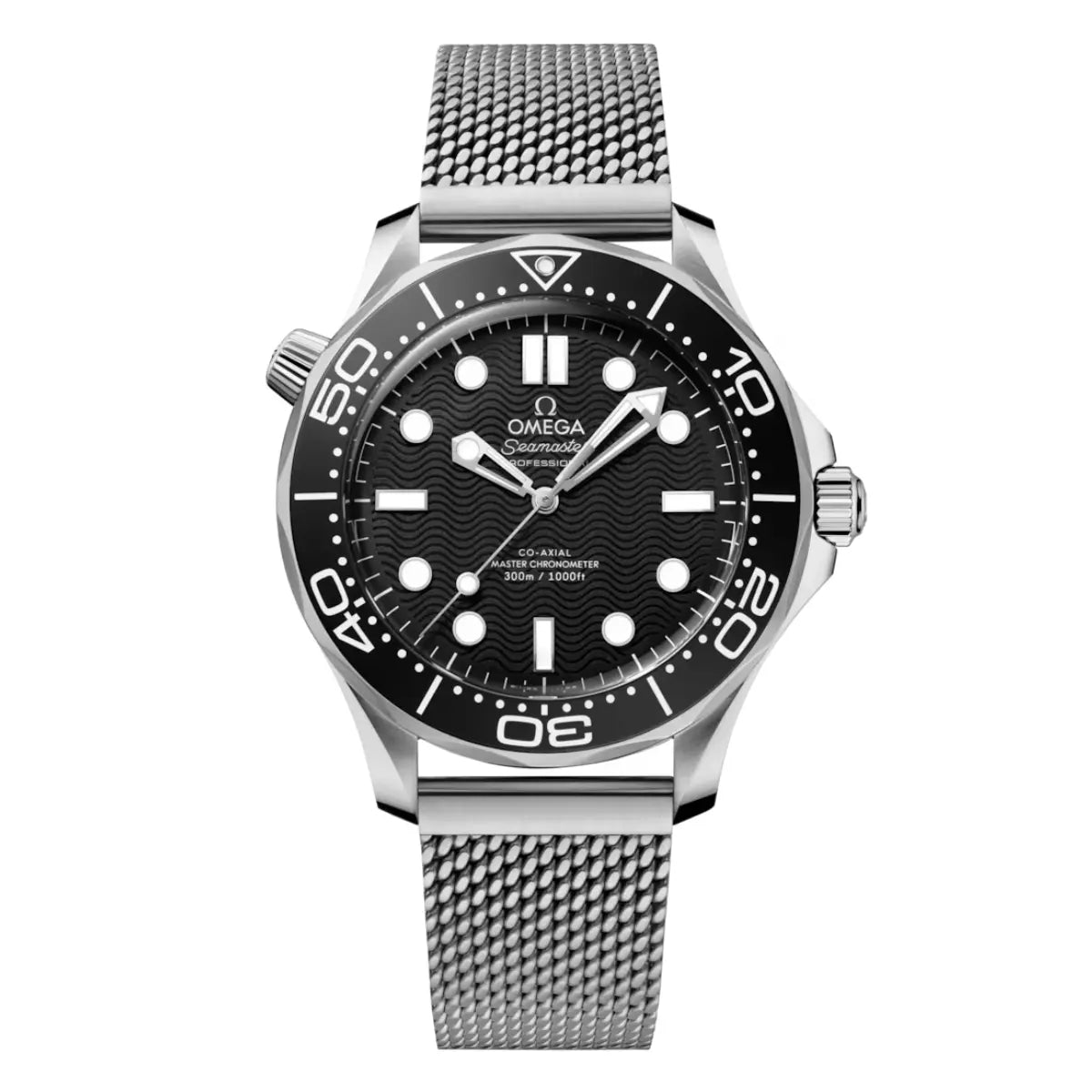 Seamaster Diver 300M