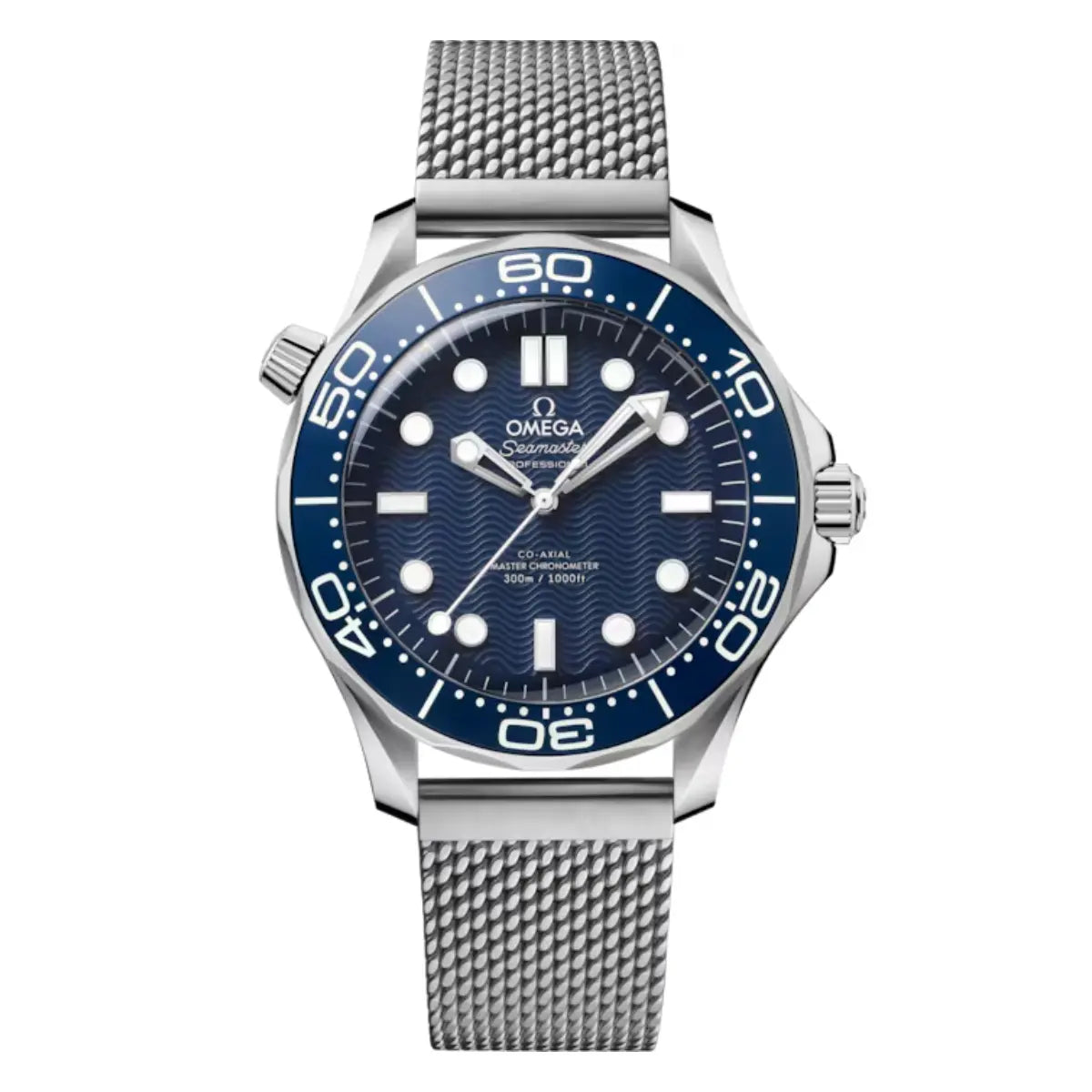 Seamaster Diver 300M