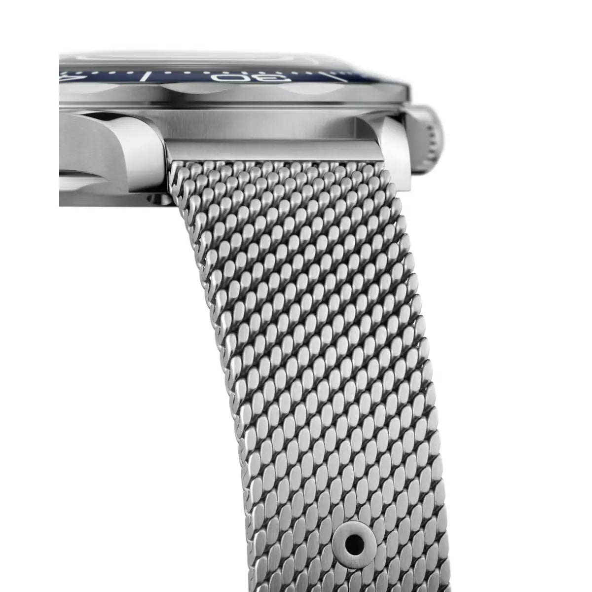 Seamaster Diver 300M